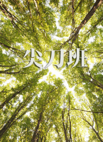 靴奴vk