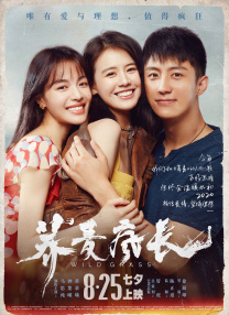 激情视频h